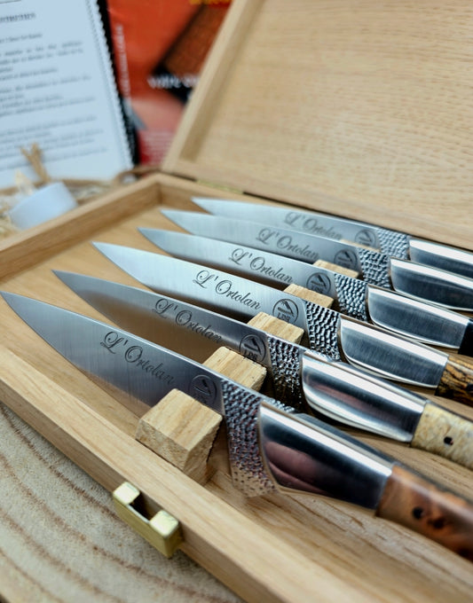 Coffret 6 couteaux de table