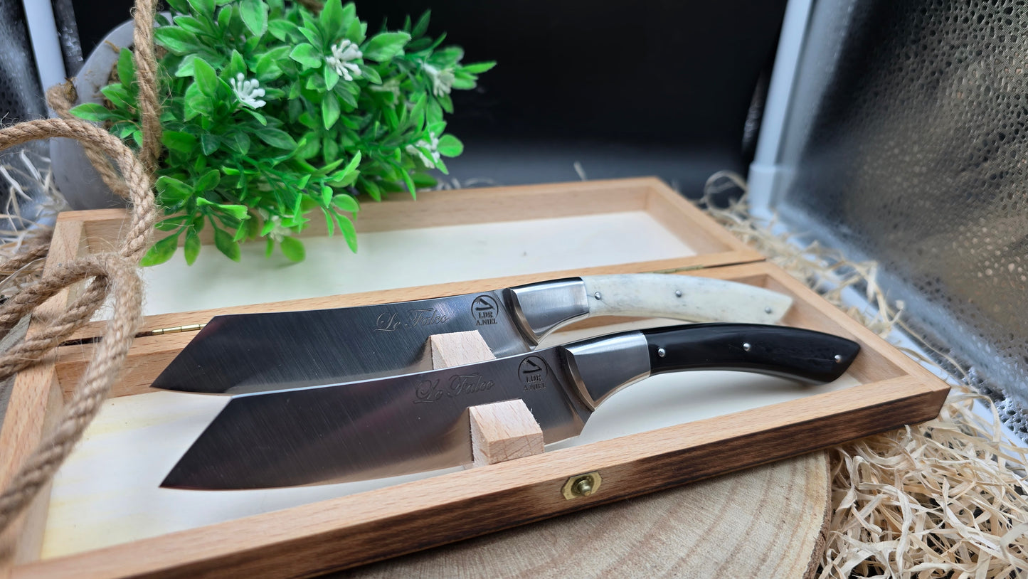 Coffret 2 couteaux Falco
